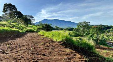 Gambar 4 Tanah Shm 3000m2  Mountain View Puncak Bogor