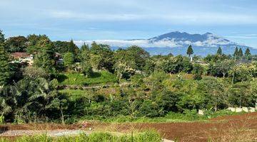 Gambar 4 Tanah SHM Dekat Wisata Puncak Bogor, Luas Flexibel 