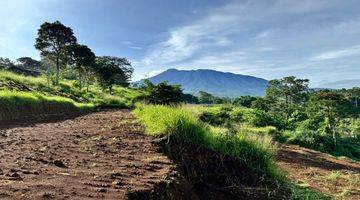 Gambar 1 Tanah Murah Shm Mountain View Dekat Tamansafari