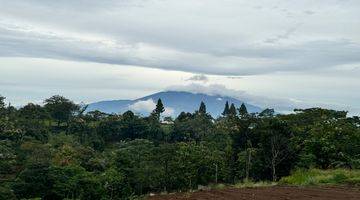 Gambar 2 Tanah Murah Shm Mountain View Dekat Tamansafari