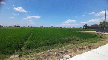 Gambar 2 Tanah Sawah Mbulak Rejo 