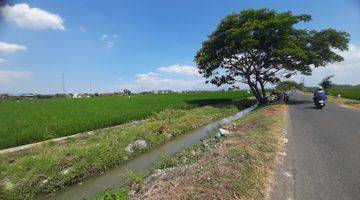 Gambar 1 Tanah Sawah Sukoharjo 