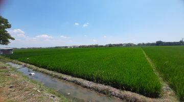 Gambar 1 Tanah Sawah Mbulak Rejo 