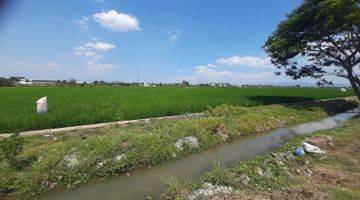 Gambar 3 Tanah Sawah Sukoharjo 