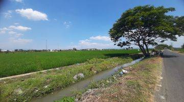 Gambar 4 Tanah Sawah Sukoharjo 