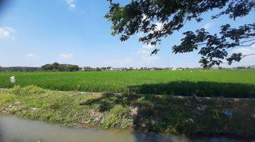 Gambar 5 Tanah Sawah Sukoharjo 