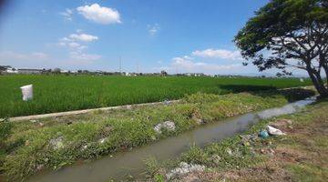 Gambar 2 Tanah Sawah Sukoharjo 