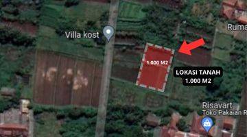 Gambar 3 Dijual Tanah Di Daerah Dramaga Kp. Carang Pulang Bogor