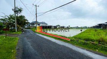 Gambar 1 Land for rent at Pererenan, Mengwi, strategic location, close to Canggu area