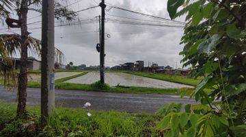 Gambar 4 Tanah Sewa Dengan Zona Pink  Di Jln Utama Jl Babadan, Pererenan, Badung