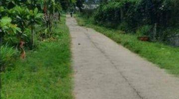 foto lainnya jual tanah kebun di kawasan