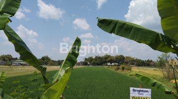 Gambar 2 SAWAH KLATEN, LOKASI STRATEGIS, SELANGKAH STASIUN, TERMINAL, RSUD BAGAS WARAS, STIEKES SMK MUHAMADIYAH, PERUMAHAN TAMAN ANGGREK, PASAR SRAGO