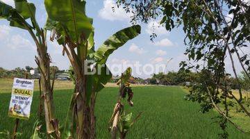 Gambar 3 SAWAH KLATEN, LOKASI STRATEGIS, SELANGKAH STASIUN, TERMINAL, RSUD BAGAS WARAS, STIEKES SMK MUHAMADIYAH, PERUMAHAN TAMAN ANGGREK, PASAR SRAGO