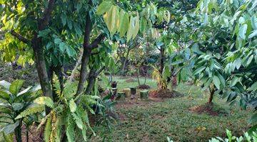 Gambar 5 Rumah Kebun di Cibanteng, Ciampea, Bogor