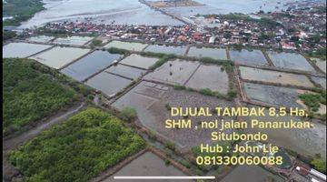 Gambar 3 Tanah Tambak Raya Panarukan Situbondo Jawa Timur, Lokasi Strategis, Sekitar Ada Tambak, Pabrik Rumput Laut, Hatchery Dll