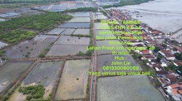 Gambar 5 Tanah Tambak Raya Panarukan Situbondo Jawa Timur, Lokasi Strategis, Sekitar Ada Tambak, Pabrik Rumput Laut, Hatchery Dll