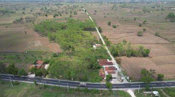 Gambar 5 Lamongan Mantup Tanah Industri Lokasi Bagus UMR Murah 