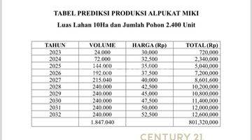 Gambar 5 Lahan Kebun Alpukat Di Sukabumi