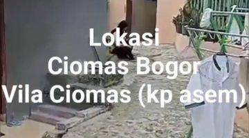 Gambar 2 Kontrakan Ada  4 Rumah ,strategis Aman ,murah Parkiran Luas Kota Bogor Rumah Kontrakan Di Jln.beringin Raya Padasuka Ciomas Kota Bogor Lainnya Sudah Renovasi