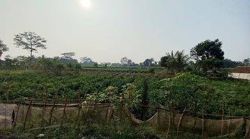 Gambar 3 Tanah Kebun Dijual Cepat Di Ciampea Bogor 