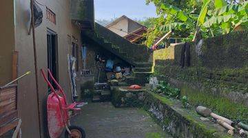 Gambar 5 Dijual Rumah Tinggal Rasa Villa Bonus Kolam di Cijeruk, Bogor