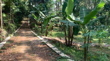 Gambar 2 Kebun Durain Murah Mangunsari Unnes Gunungpati