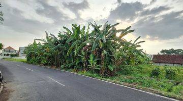 Gambar 5 Tanah Murah Di Padonan Canggu