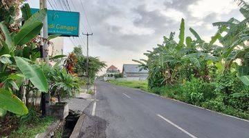 Gambar 3 Tanah Murah Di Padonan Canggu