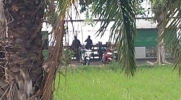 Gambar 3 Disewakan Rumah Di Singaraja Dekat Pantai 