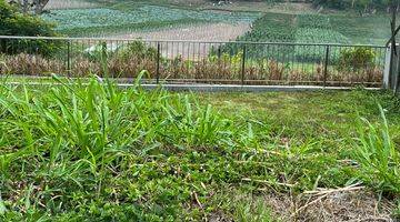 Gambar 2 Kavling Kbp View Danau Dan Sawah, Kota Baru Parahyangan