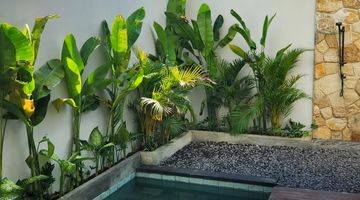 Gambar 1 Tropical Modern Villa Green View At Kerobokan Canggu Furnished