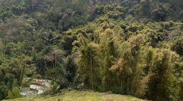 Gambar 1 DIJUAL SGT MURAH DIBAWAH NJOP TANAH KEBUN PETERNAKAN DI GARUT