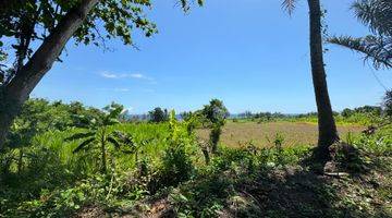 Gambar 2 Ocean view and rice paddy view land in Keramas Gianyar for sale