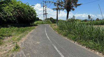 Gambar 3 Ocean view and rice paddy view land in Keramas Gianyar for sale