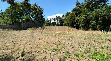 Gambar 1 Ocean view and rice paddy view land in Keramas Gianyar for sale