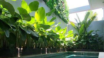 Gambar 3 Modern Tropical 2BR Villa at Canggu For Rental