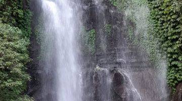 Gambar 1 Dijual Tanah View Waterfall Munduk Bali Ada Mata Air Juga