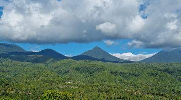 Gambar 2 Dijual Tanah View Waterfall Munduk Bali Ada Mata Air Juga