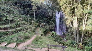 Gambar 4 Dijual Tanah View Waterfall Munduk Bali Ada Mata Air Juga