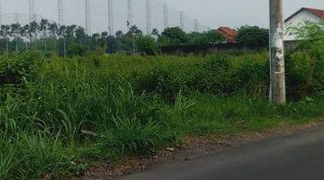 Gambar 3 Tanah Sawah Luas 1800 Meter Persegi Lokasi Jl Sinduadi Mlati Sleman