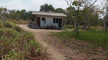 Gambar 5 Dijual Tanah di Kepulauan Bangka, Limbang Jaya