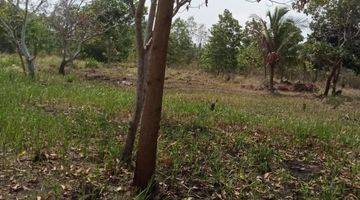 Gambar 1 Dijual Tanah di Kepulauan Bangka, Limbang Jaya