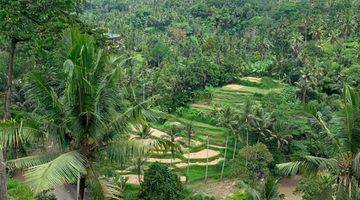 Gambar 1 Tanah Sayan Ubud 2,2 Ha River Front Bali