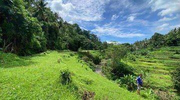 Gambar 4 Tanah Sayan Ubud 2,2 Ha River Front Bali