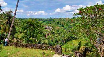 Gambar 3 Tanah Sayan Ubud 2,2 Ha River Front Bali