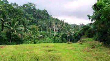 Gambar 5 Tanah Sayan Ubud 2,2 Ha River Front Bali