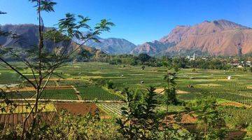 Gambar 5 Di Jual Tanah Bukit View Terindah Sembalun Lombok