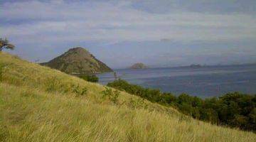 Gambar 1 Di jual lokasi Los pantai view pulau terindah labuan bajo