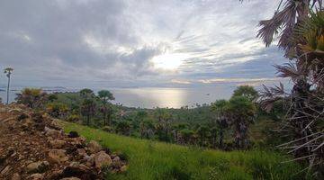 Gambar 5 Di jual tanah view abadi wae cucu labuan bajo