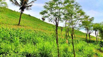 Gambar 5 Di jual tanah view sirkuit mandalika lombok tengah